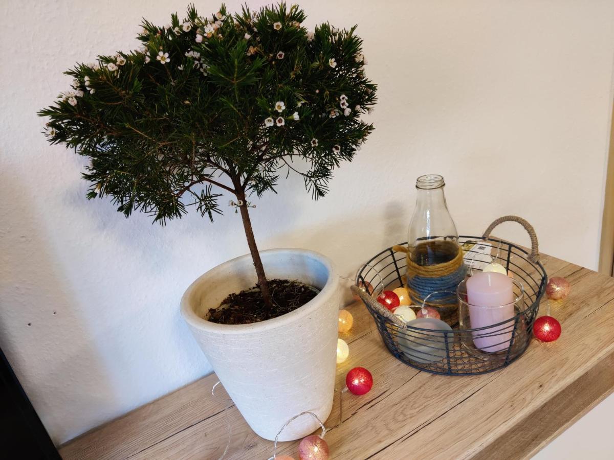 Ferienwohnung Brunow "In Der Natur Zuhause" Neundorf  Zewnętrze zdjęcie