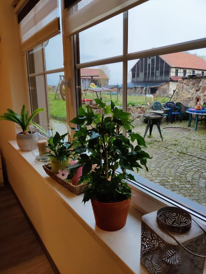 Ferienwohnung Brunow "In Der Natur Zuhause" Neundorf  Zewnętrze zdjęcie