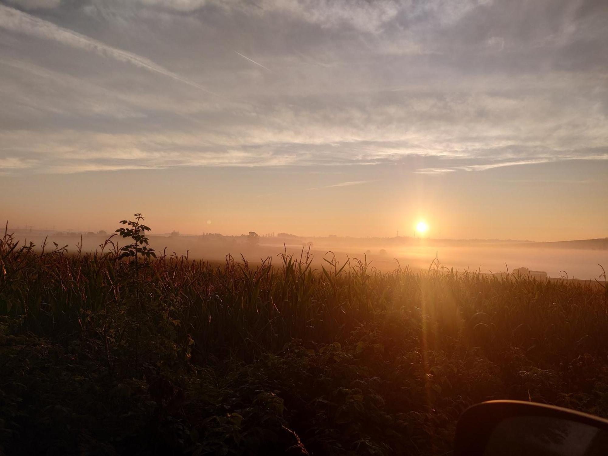 Ferienwohnung Brunow "In Der Natur Zuhause" Neundorf  Zewnętrze zdjęcie