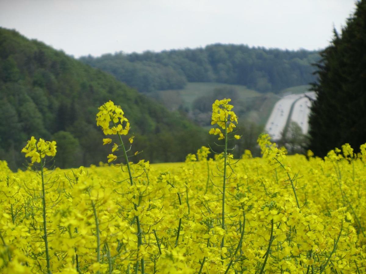 Ferienwohnung Brunow "In Der Natur Zuhause" Neundorf  Zewnętrze zdjęcie